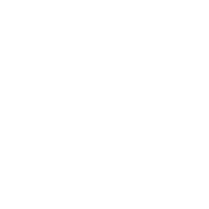 The Fashion Dollz logo