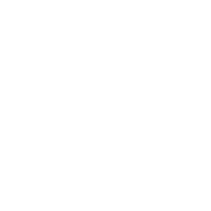Scanlans Property Consultants logo